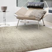 Payton Shaggy Soft Shimmer Rugs in Mink Beige